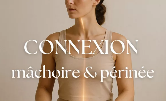 La relation entre la mâchoire et le périnée en yoga féminin : comprendre et libérer par la pratique