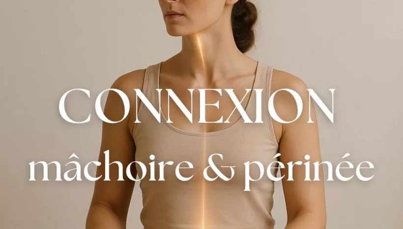 La relation entre la mâchoire et le périnée en yoga féminin : comprendre et libérer par la pratique