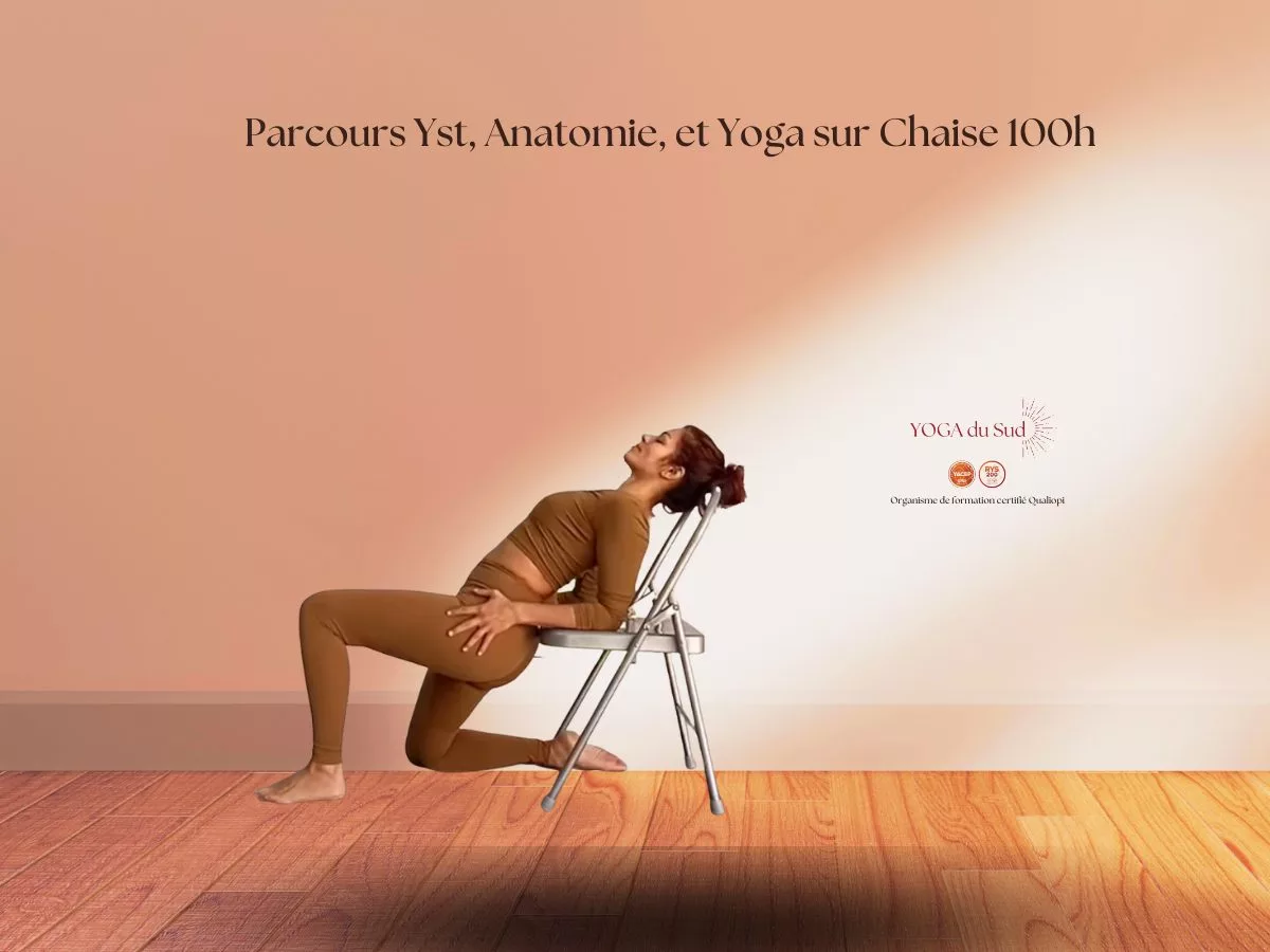 Formation Yin Yoga, Yoga sur Chaise & Anatomie – Yoga du Sud, enseignement doux et inclusif