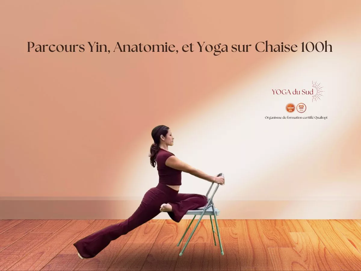 Formation Yoga Sensible au Trauma, Yoga sur Chaise & Anatomie – Yoga du Sud