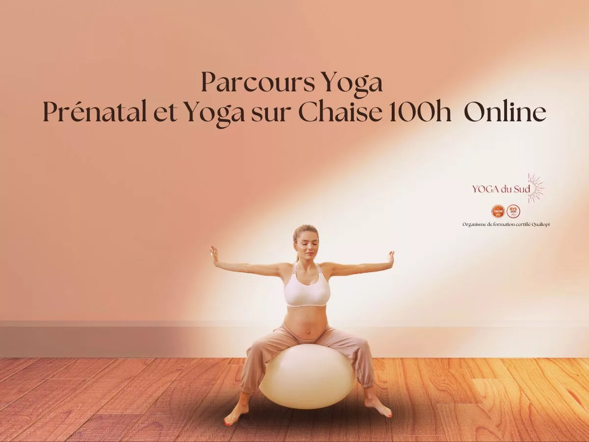 Formation Prénatal & Yoga sur Chaise – Yoga du Sud, yoga doux pour femmes enceintes