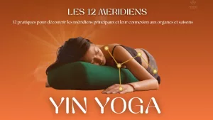 Yin 12 Méridiens