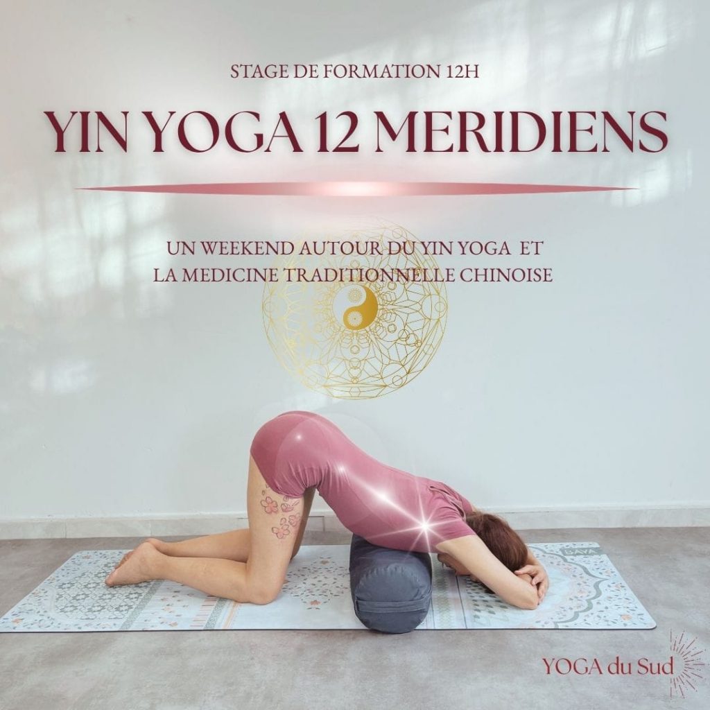 Stage de Yin Yoga et 12 méridiens YACEP en présence avec Rosa Aguilera